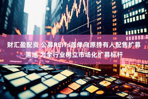 财汇盈配资 公募REITs首单向原持有人配售扩募落地 为全行业树立市场化扩募标杆