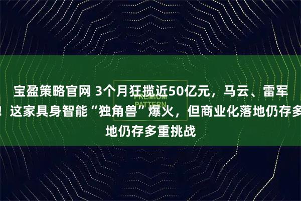 宝盈策略官网 3个月狂揽近50亿元，马云、雷军都投了！这家具身智能“独角兽”爆火，但商业化落地仍存多重挑战